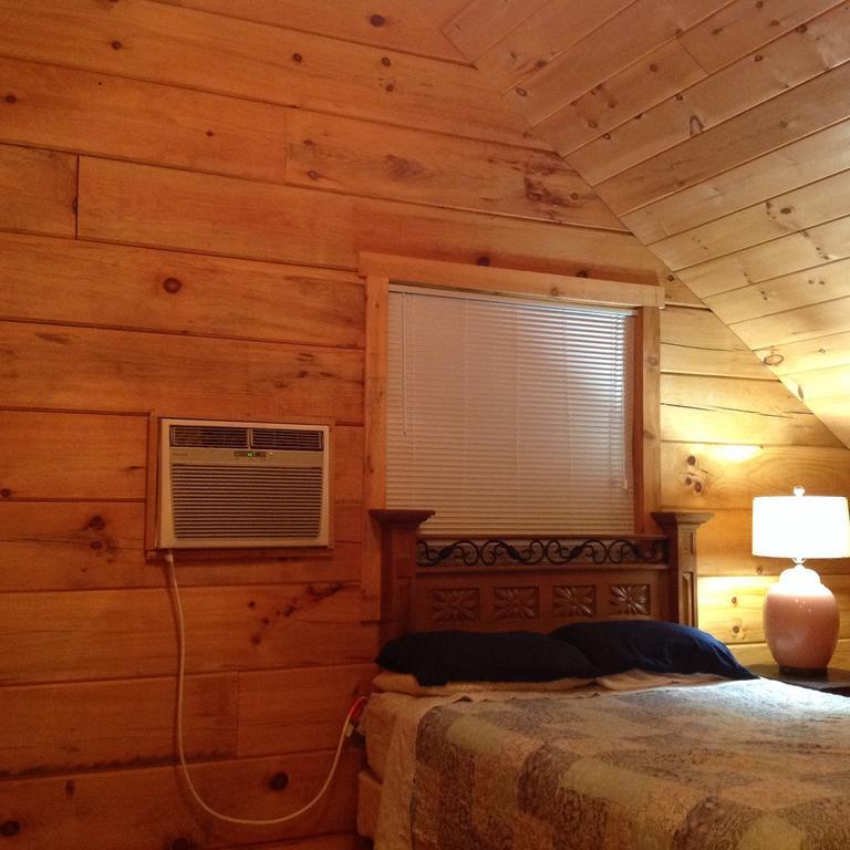 Log Cabin In Smoky Mountains 호텔 세비어빌 외부 사진